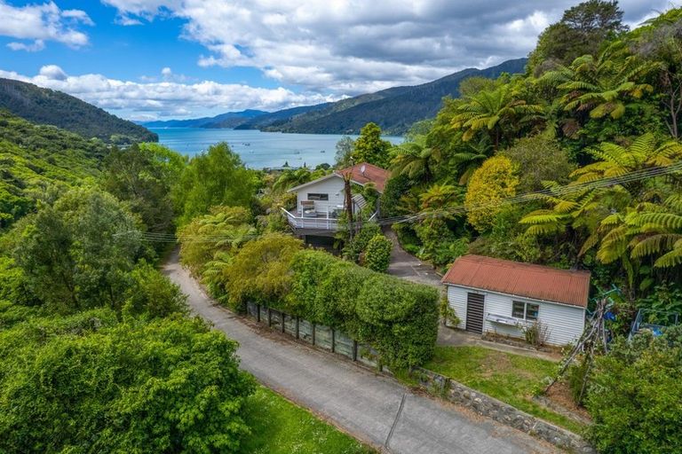 Photo of property in 51 Tirimoana Terrace, Anakiwa, Picton, 7281