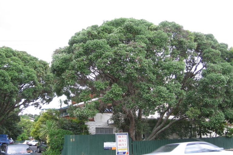 Photo of property in 24/43 Woodward Road, Mount Albert, Auckland, 1025