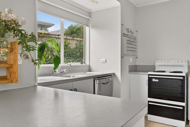 Photo of property in 5 Humber Crescent, Gate Pa, Tauranga, 3112