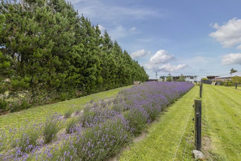 Photo of property in 672 Depot Road, Burnt Hill, Oxford, 7495