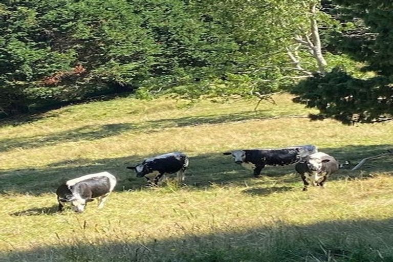 Photo of property in 1266 Te Pahu Road, Karamu, Hamilton, 3285