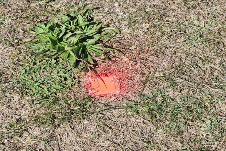 Photo of property in 161 Wairere Road, Wainui, 4010