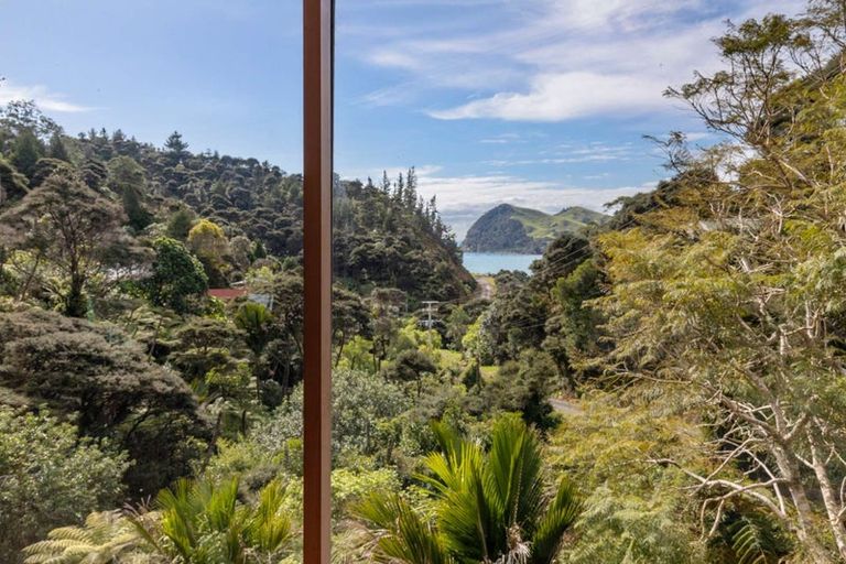 Photo of property in 18 Adlor Hill Road, Port Charles, Coromandel, 3584