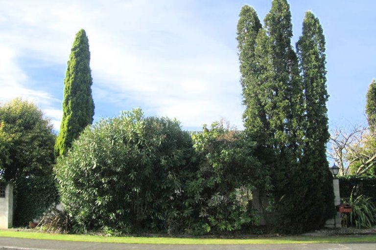 Photo of property in 1015 Rata Street, Mahora, Hastings, 4120