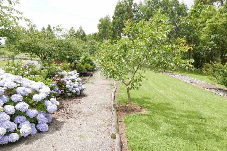 Photo of property in 100 Cole Street, Dannevirke, 4930