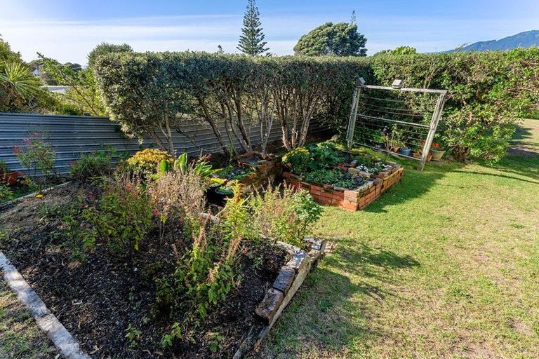 Photo of property in 49 William Street, Waikanae Beach, Waikanae, 5036