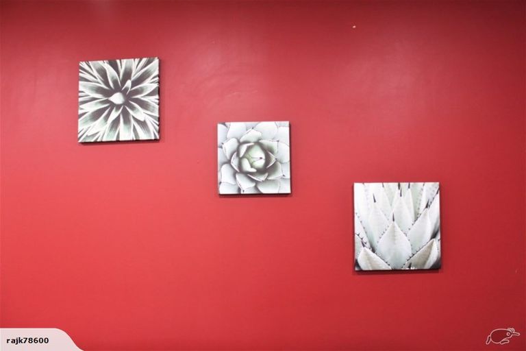 Photo of property in 1/49 Sungrove Rise, Sunnyvale, Auckland, 0612