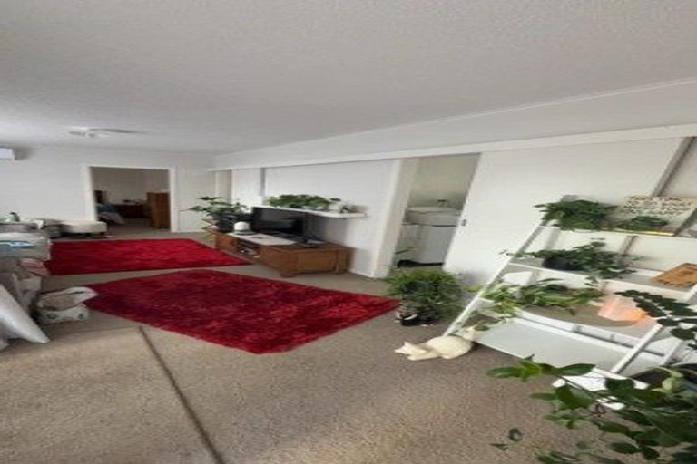 Photo of property in 4 Williams Street, Gisborne, 4010