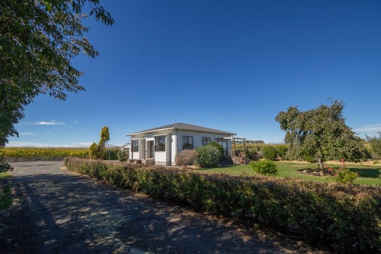 Photo of property in 421 Green Road, Rongotea, Palmerston North, 4476