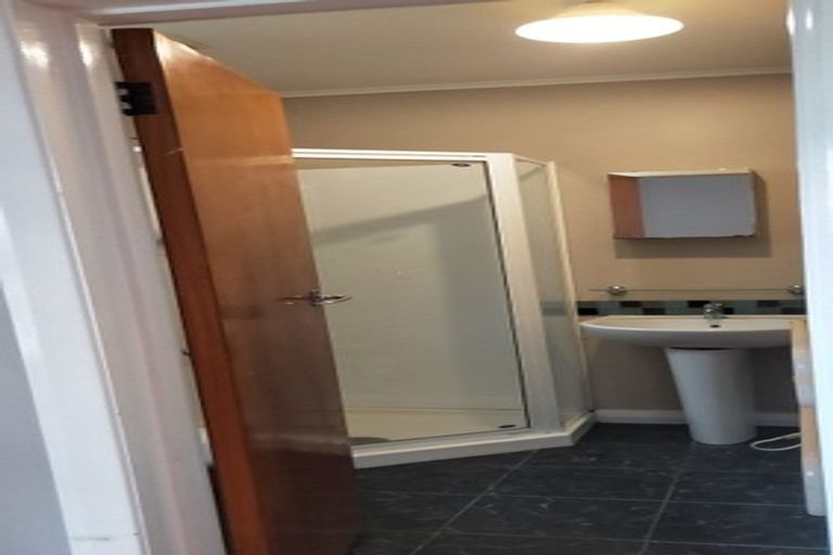 Photo of property in 8 Evelyn Street, Eden Terrace, Auckland, 1021