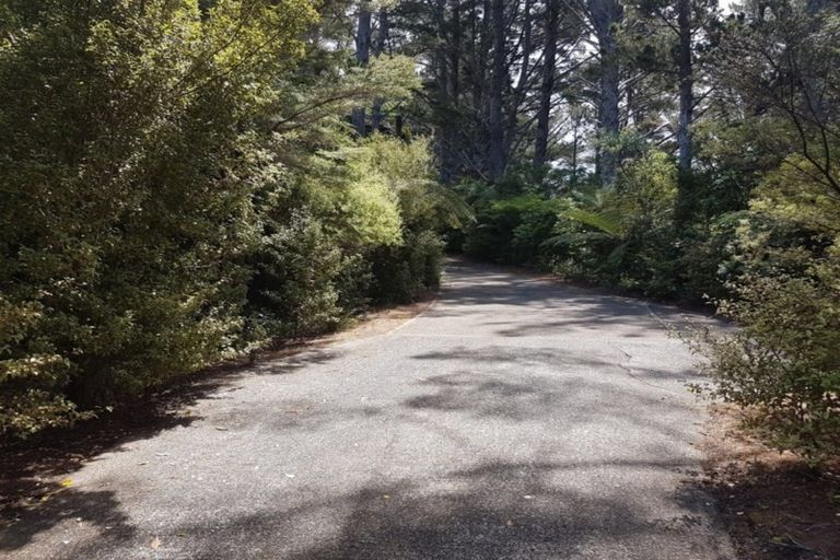 Photo of property in 135 Pumpkin Hill Road, Pumpkin Hill, Whitianga, 3591