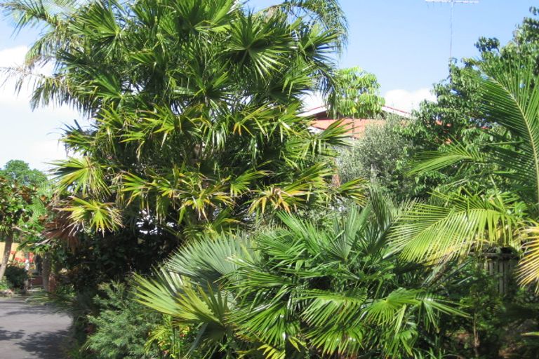 Photo of property in 11 Glade Place, Birkenhead, Auckland, 0626