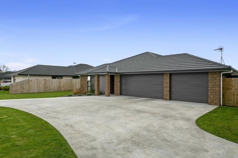 Photo of property in 5 Moroney Place, Matamata, 3400