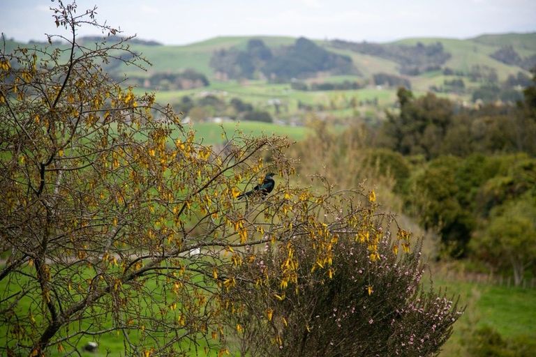 Photo of property in 231 Gray Road, Te Miro, Cambridge, 3496