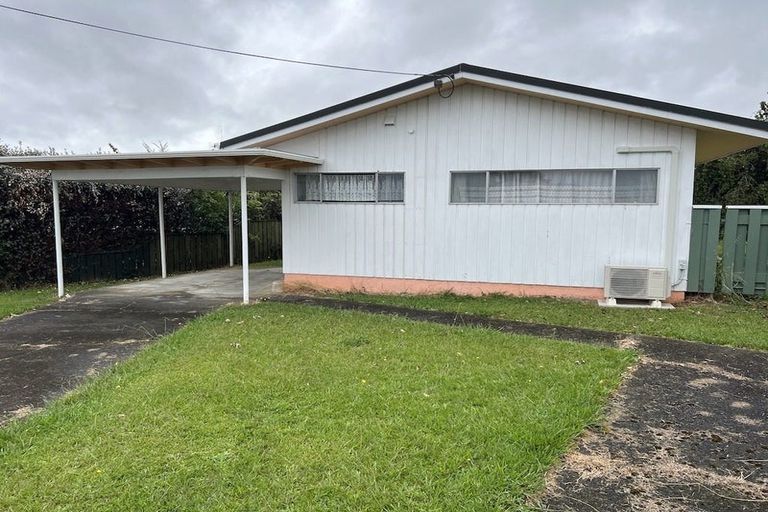 Photo of property in 33 Salisbury Street, Levin, 5510