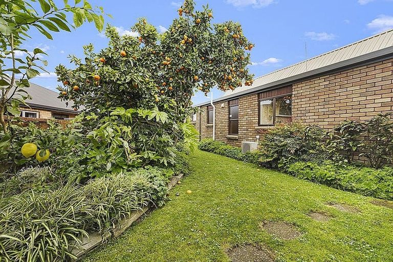 Photo of property in 60 Stirling Drive, Morrinsville, 3300