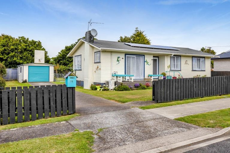 Photo of property in 99 Hathaway Street, Stratford, 4332