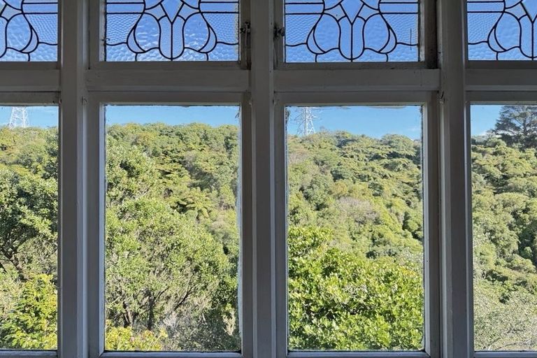 Photo of property in 53 Durham Street, Aro Valley, Wellington, 6021