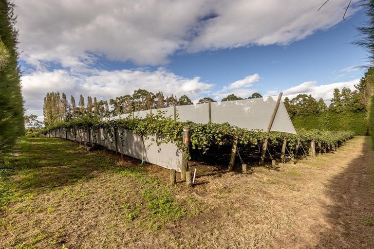 Photo of property in 39 Prole Road, Omokoroa, Tauranga, 3172