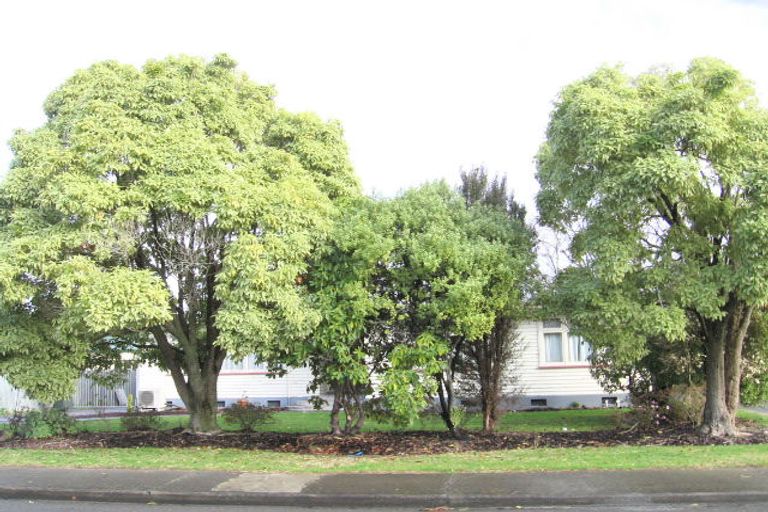 Photo of property in 239 Kenilworth Road, Mayfair, Hastings, 4122