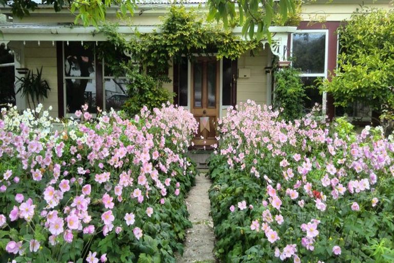 Photo of property in 40 Roy Street, Newtown, Wellington, 6021