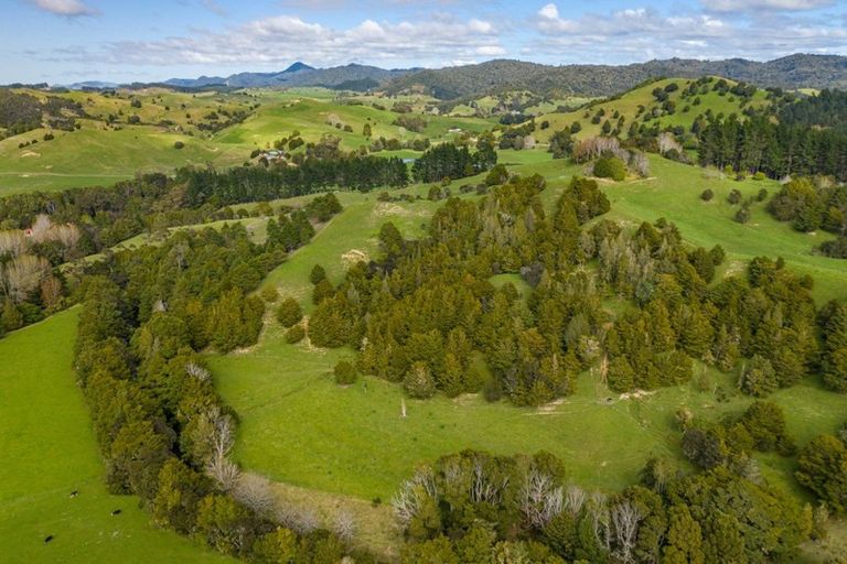 Photo of property in 1048 Otangaroa Road, Kaeo, 0479