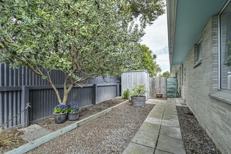 Photo of property in 220b Wolseley Street, Mayfair, Hastings, 4122