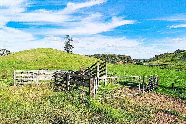 Photo of property in 533 Pataua South Road, Pataua South, Onerahi, 0192