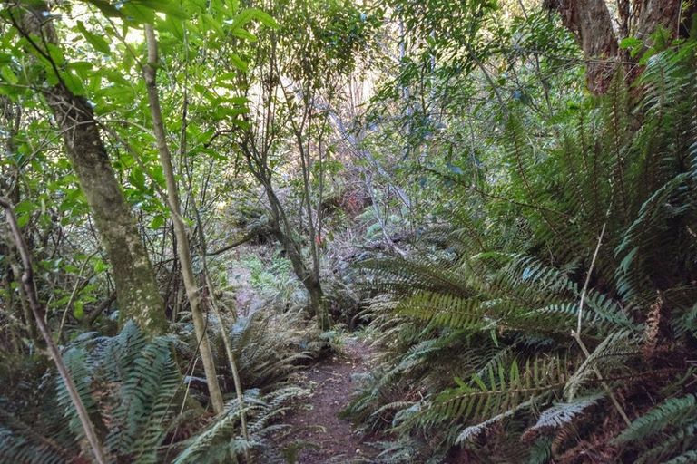 Photo of property in 4a Ronay Street, Bradford, Dunedin, 9011