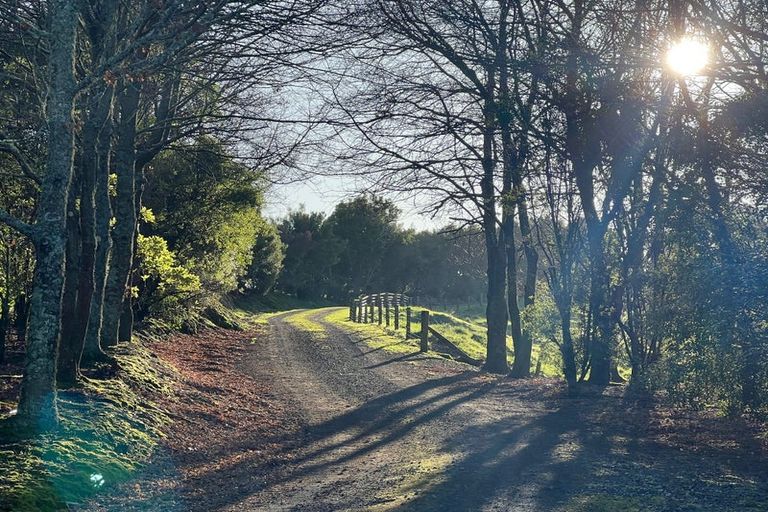 Photo of property in 12 Hepina Heights, Kinloch, Taupo, 3377