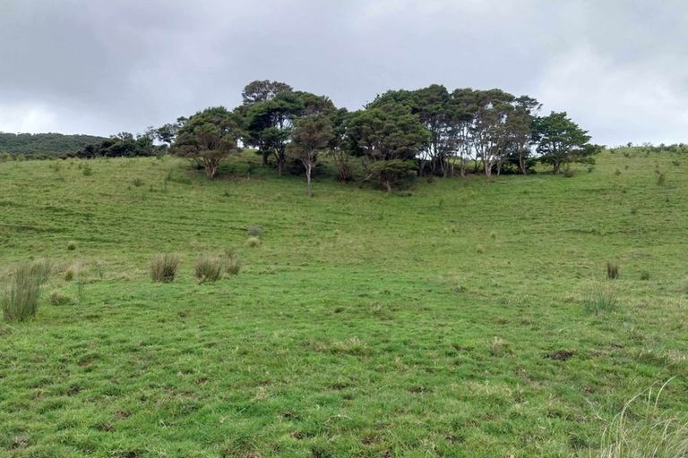 Photo of property in 1762 Kohumaru Road, Peria, Kaitaia, 0482