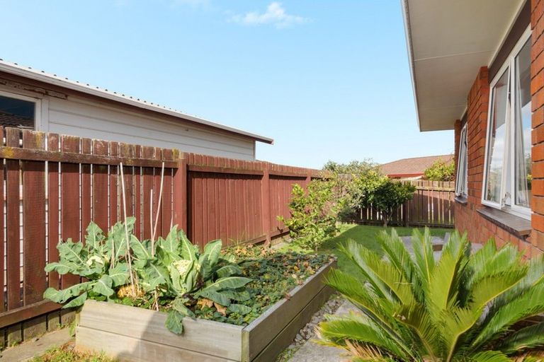 Photo of property in 6a Marwood Place, Mount Maunganui, 3116