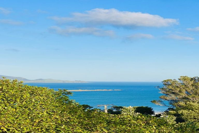 Photo of property in 33 Manchester Street, Melrose, Wellington, 6023