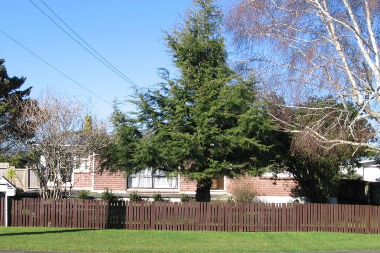 Photo of property in 191 Old Wairoa Road, Papakura, 2110