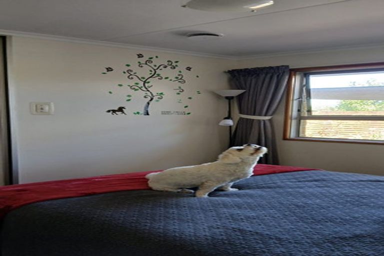 Photo of property in 42 Coal Street, Reefton, 7830