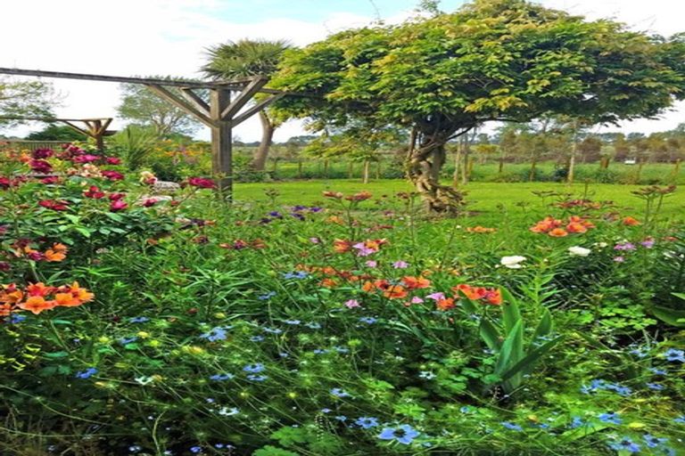 Photo of property in 33 Mokena Kohere Street, Manakau, Levin, 5573