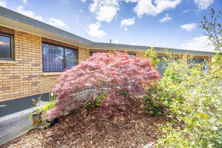 Photo of property in 196 Mount Wesley Coast Road, Dargaville, 0371