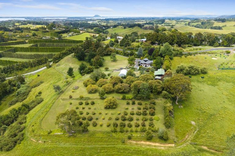 Photo of property in 376 Esdaile Road, Whakamarama, Tauranga, 3180