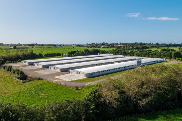 Photo of property in 116 Ngatimaru Road, Tikorangi, Waitara, 4383