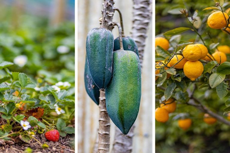 Photo of property in 347 Henwood Road, Hillsborough, New Plymouth, 4372