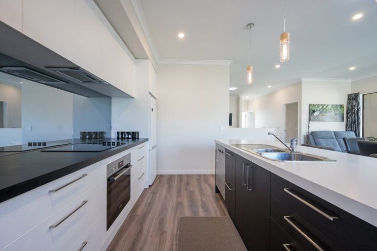 Photo of property in 14 Julius Place, Richmond, 7020