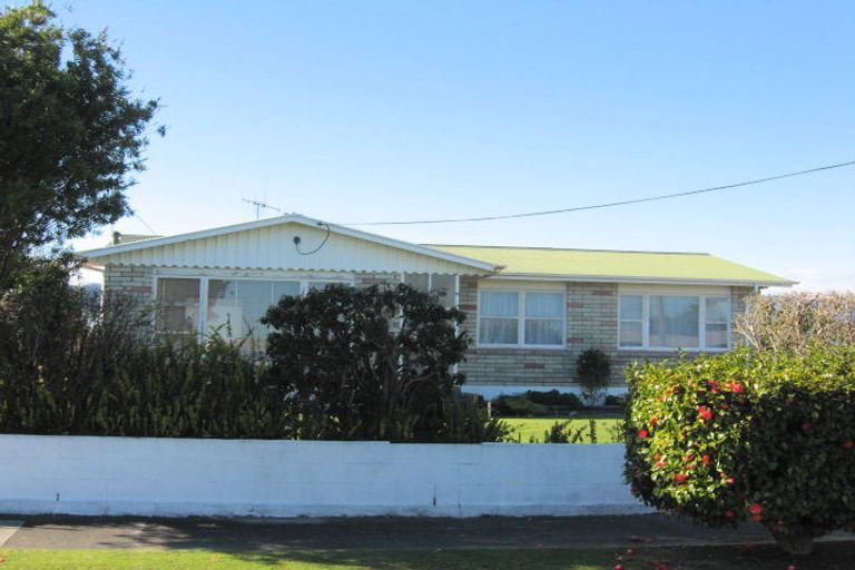 Photo of property in 28 Cobham Street, Levin, 5510