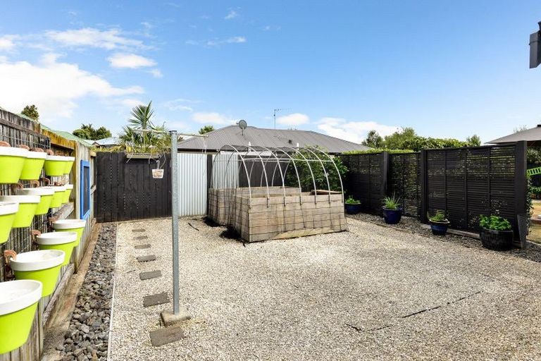 Photo of property in 4 Harrogate Place, Grandview Heights, Hamilton, 3200