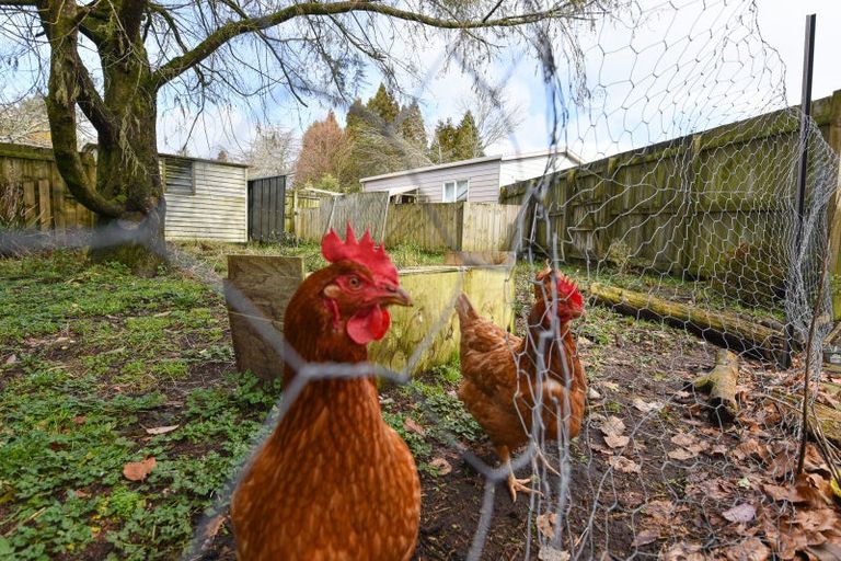 Photo of property in 22 Maire Street, Mamaku, 3020