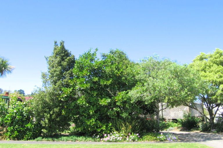 Photo of property in 1 Kennedy Street, Mangapapa, Gisborne, 4010