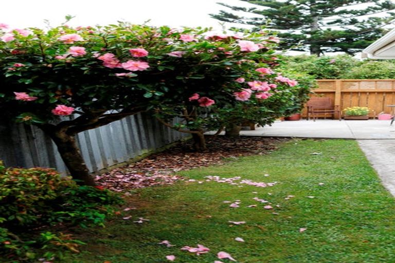 Photo of property in 12a Waimarie Avenue, Paraparaumu, 5032