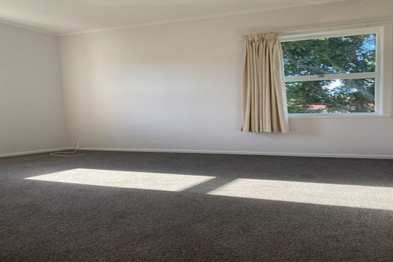 Photo of property in 45 Sylvia Road, Hillcrest, Auckland, 0627