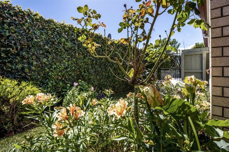 Photo of property in 145a Charles Street, Blenheim, 7201