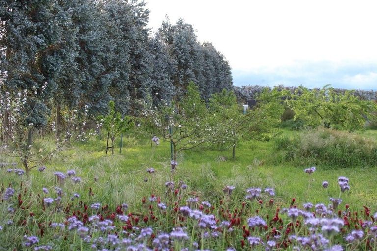 Photo of property in 460 Gladstone Road, Gladstone, Carterton, 5792