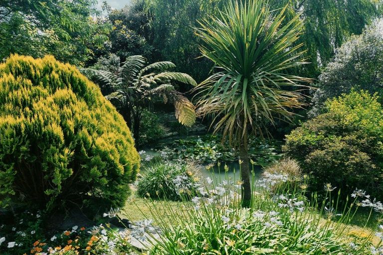 Photo of property in 64 Lea Grove, Levin, 5572